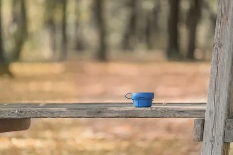 A cup of tea on the bench Stock Photos