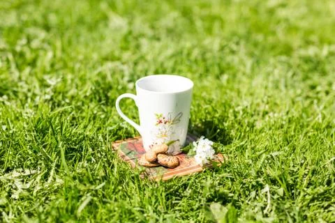 Cup of tea with bird cherry and cookies on the grass Stock Photos