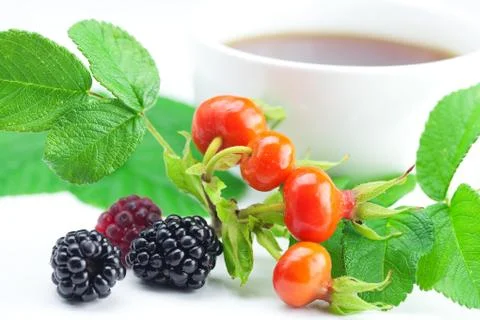 Cup of tea, blackberry,raspberry and rosehip berries with leaves Stock Photos