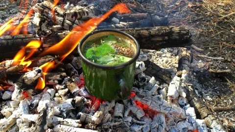 Cup of tea in the bonfire flames. Cooking food at fire in wild. Stock Footage 138736997
