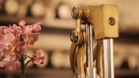 Cup of tea in a cafe drink Stock Footage 69193565