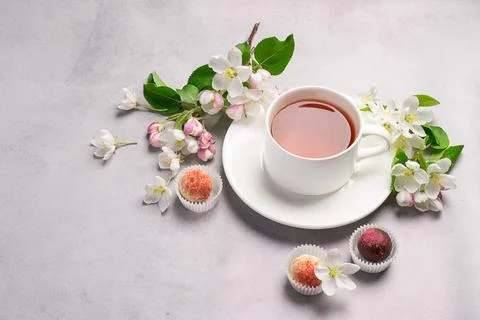 A cup tea candy truffle made of various chocolate white om concrete background Stock Photos