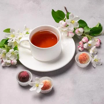 A cup tea candy truffle made of various chocolate white om concrete background Stock Photos