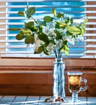 Cup of tea with emon and cherry on wooden background. Window Stock Photos