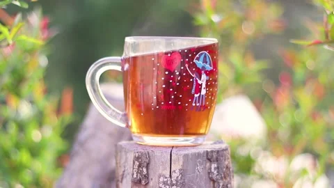 Cup Of Tea In The Forest Stock Footage 233858514