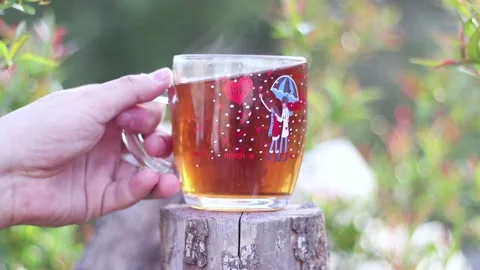 Cup Of Tea In The Forest Stock Footage 233858523