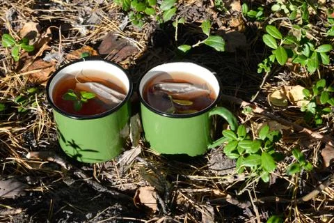 Cup of tea in the forest Stock Photos