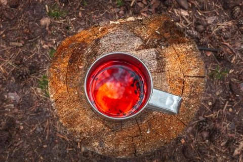Cup of tea at the forest Stock Photos