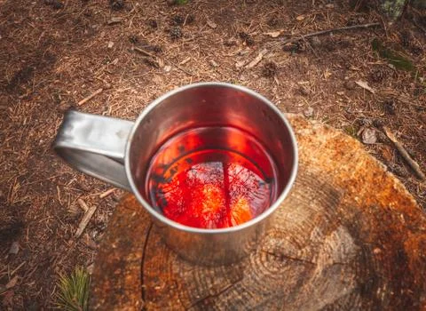 Cup of tea at the forest Stock Photos