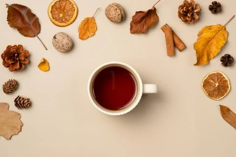 Cup of tea with frame from leaves, nut, cones, dried fruits, cinnamon sticks  Stock Photos
