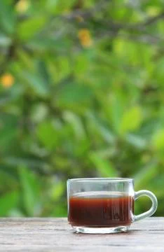 Cup of tea on green . Stock Photos