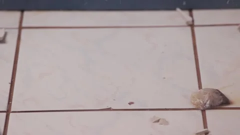 Cup of tea hitting the ground breaking Stock Footage 311543536
