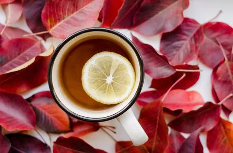 Cup of tea with lemon close-up on a background of red leaves. Stock Photos