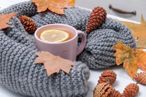 A cup of tea with lemon wrapped in a gray woolen scarf, cones, dry leaves, ca Stock Photos