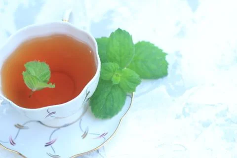 Cup of tea with mint on the table on a light background Stock Photos