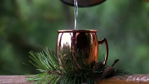 Cup of tea in nature Stock Footage 167908545