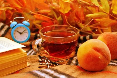 Cup of tea with open thick book, fruit, alarm clock on plaid with autumn leaves Stock Photos