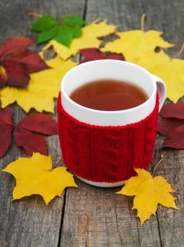Cup of tea Stock Photos