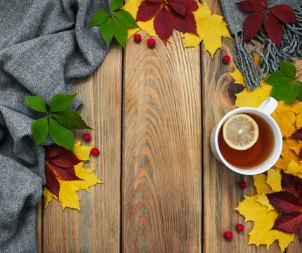 Cup of tea Foto stock