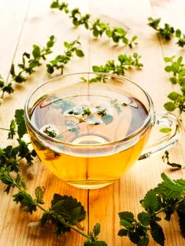 Cup of tea Stock Photos