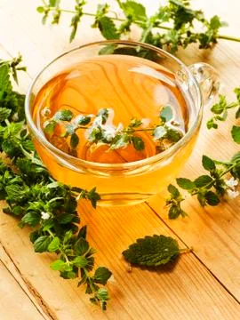 Cup of tea Stock Photos