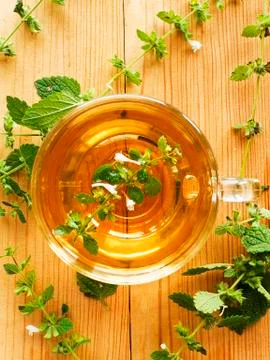 Cup of tea Stock Photos