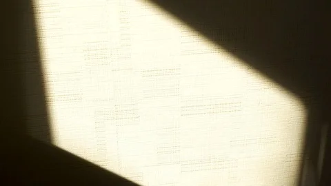 A cup of tea on the silhouette. A woman's hand. Close-up. Brew tea Stock Footage 80311567