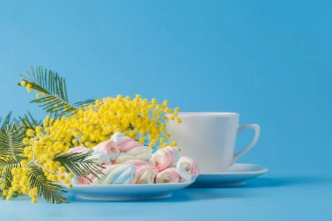 Cup of tea with spring flowers Stock-Fotos