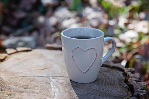 A cup of tea on a stump. 写真素材