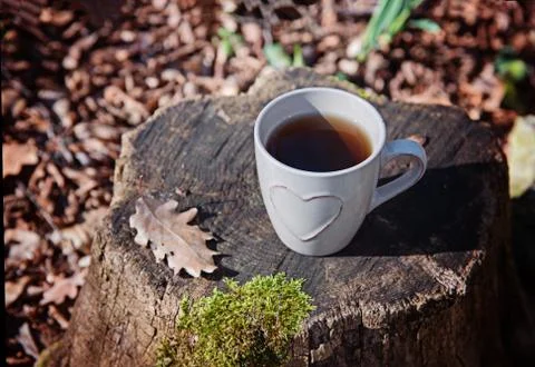 A cup of tea on a stump. Fotos Stock