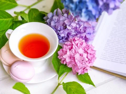A cup of tea surrounded by hydrangea flowers, with pink marshmallows Stock Photos