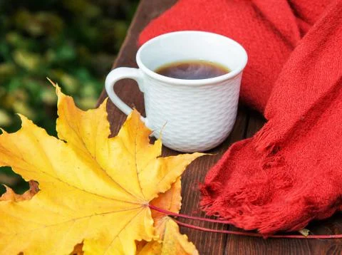 Cup of tea on the table with a scarf and yellow leaves Stock Photos