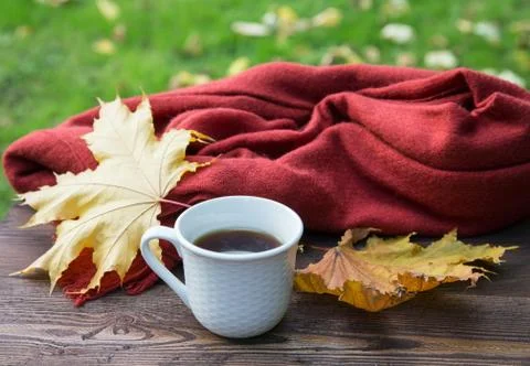 Cup of tea on the table with a scarf and yellow leaves Stock Photos