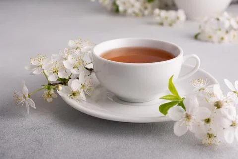 A cup of tea on the table with spring cherry blossoming branches. Spring and  Stock Photos