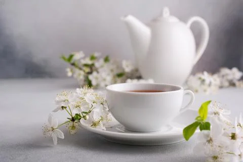 A cup of tea on the table with spring cherry blossoming branches. Spring and  Stock Photos