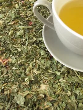 Cup of tea on tea herbs Stock Photos