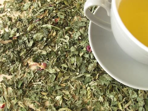 Cup of tea on tea herbs Stock Photos