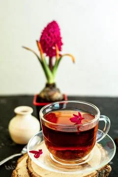 A cup of tea in a transparent cup with spring hyacinth flower on a black back Stock Photos