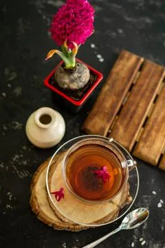 A cup of tea in a transparent cup with spring hyacinth flower on a black Stock Photos