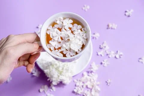 A cup of tea with white hydrangea petals. Delicate still life with flowers an Stock Photos