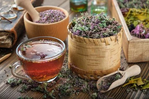 Cup of tea with wild Marjoram and Erica flowers. Stock Photos