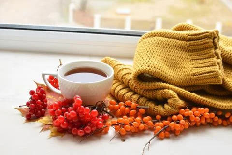 A cup of tea on window sill Stock Photos