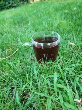 Cup of tee Foto stock