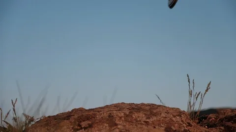 A cup is thrown onto the ground Video stock 89349305