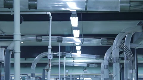 Cup Transport Stock Footage 139951243