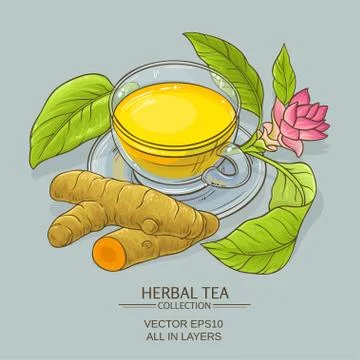 Cup of turmeric tea Illustrazione stock