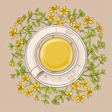 Cup of tutsan tea Stock Illustration