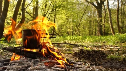Cup of Water Boiling over Campfire. Camping in the Forest Stock Footage 109679290