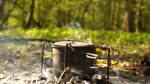 Cup of Water Boiling over Campfire. Camping in the Forest Stock Footage 109679295