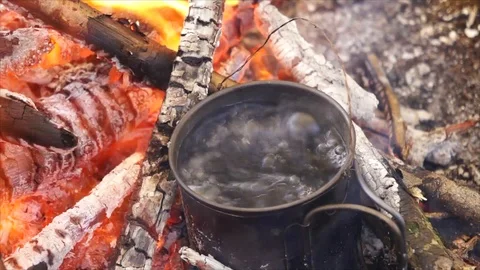 Cup of Water Boiling over Campfire. Camping in the Forest Stock Footage 109679639